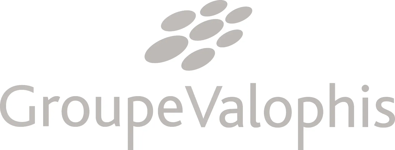 Groupe Valophis